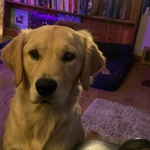 Meet your Posher, Philip